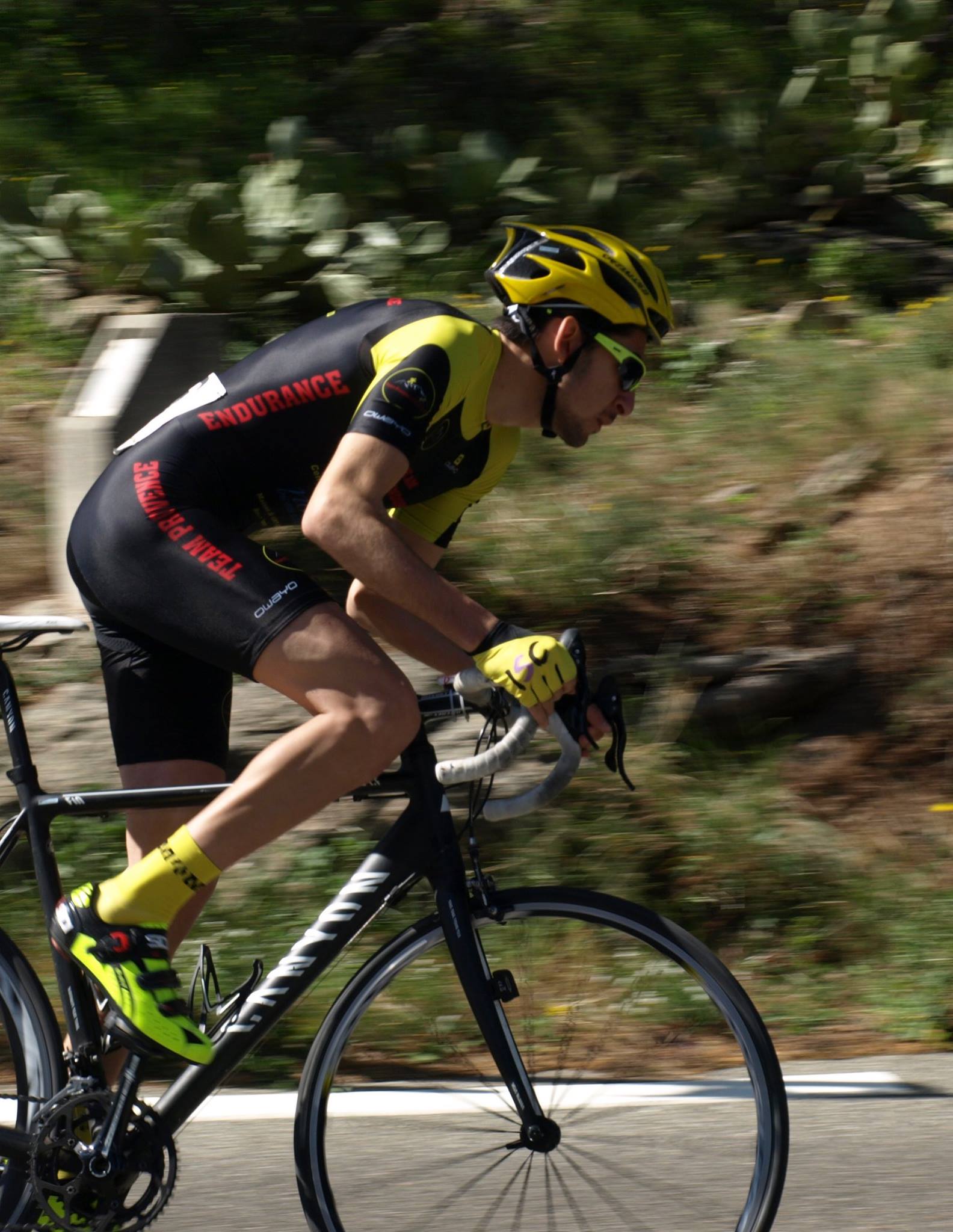 11078123_961084147257830_3740328329823447035_o